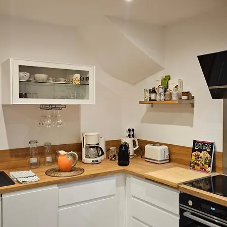 Apartment Duplex Elegant Quais De Loire Tours