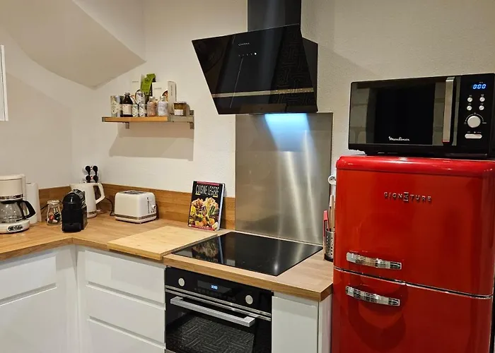 Апартаменты Duplex Elegant Quais De Loire