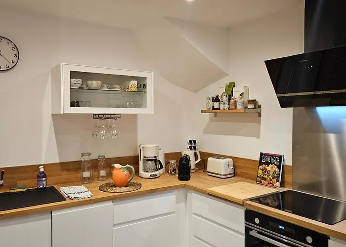 Апартаменты Duplex Elegant Quais De Loire Тур