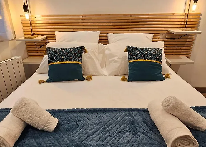 Duplex Elegant Quais De Loire Тур